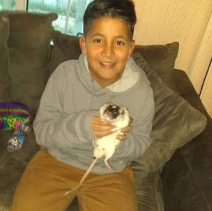 Meet your Posher, Alex